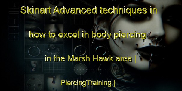 Skinart Advanced techniques in how to excel in body piercing in the Marsh Hawk area | PiercingTraining | PiercingClasses | SkinartTraining-United States